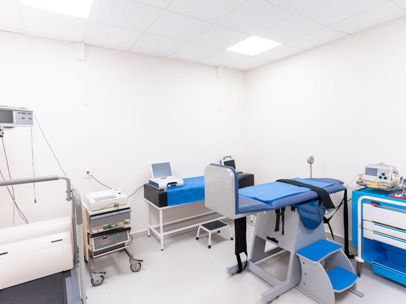 pexels-photo-8460234-1